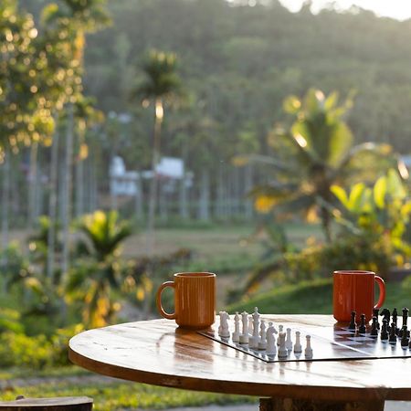 Stayvista At The Big Chill With Breakfast Included Wayanad Exterior photo