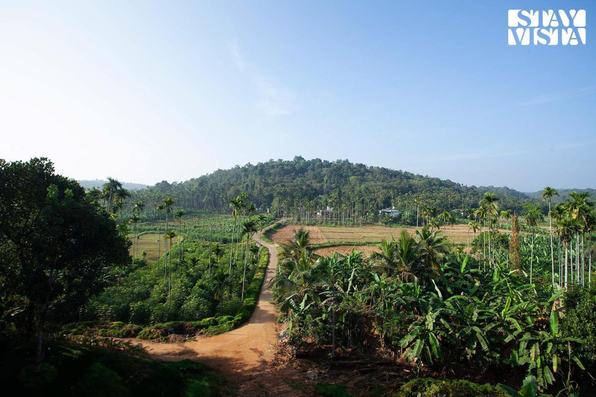 Stayvista At The Big Chill With Breakfast Included Wayanad Exterior photo